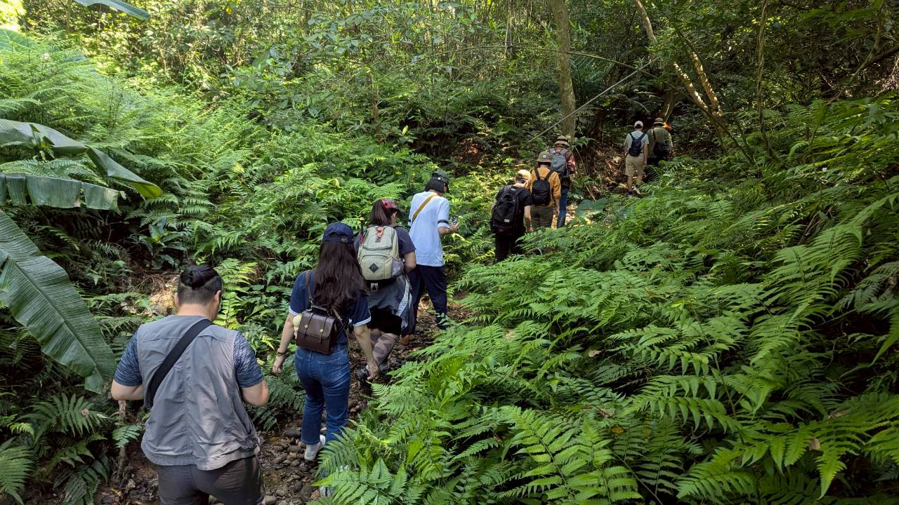參與走讀的一行人往深藏戰略山洞的山林走去